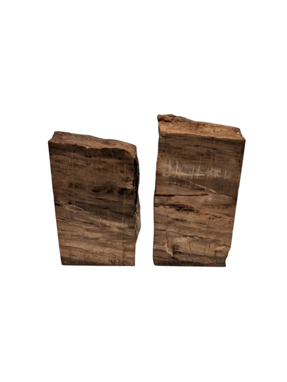 Petrified Wood Bookends Fossilized Tree Rings Natural Mineral Patterns 6" Rustic - Picture 6 of 16